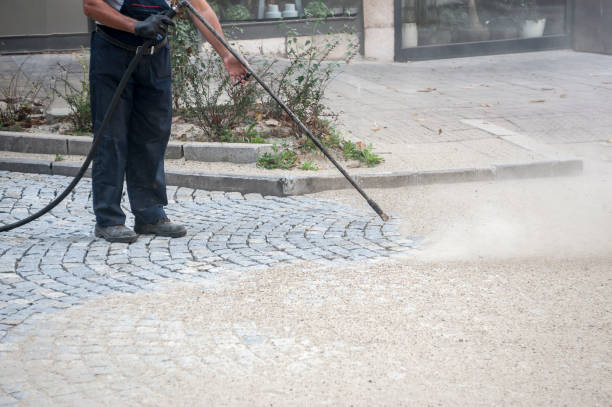 Best Animal Enclosure Cleaning  in Munday, TX